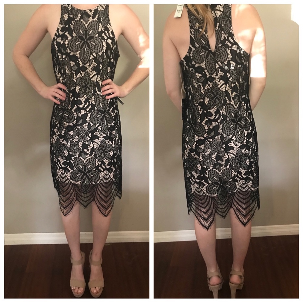 Express Lace Dress